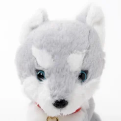 PUPS! Small Husky Plush -Plush Toys Shop 1bf6ea8c94d94e84a3eefd3ab66aaa3a.jpg