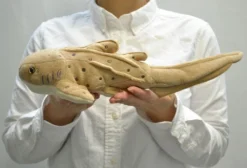 Zebra Shark Plushie -Plush Toys Shop 321e906bafb140c4848c20815d549657.jpg