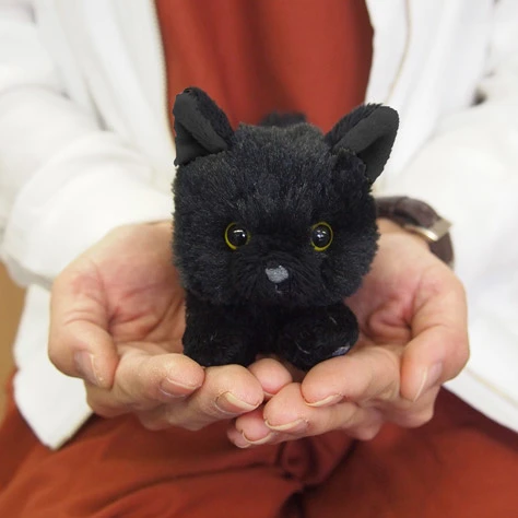 Hizaneko Chibi Ball Chain Plush Collection 20 Hizaneko Chibi Ball Chain Plush Collection - Image 20