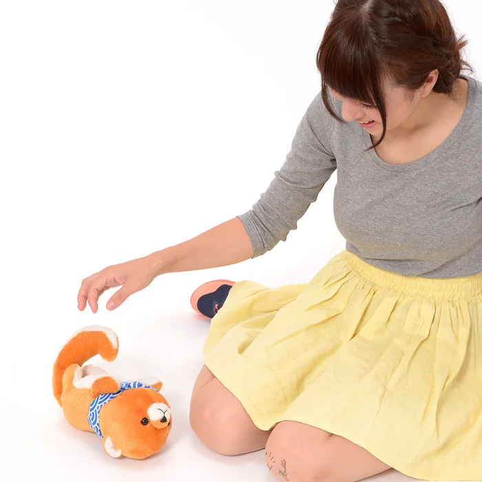 Mameshiba San Kyodai Rolling Pup Toy 11 Mameshiba San Kyodai Rolling Pup Toy - Image 11