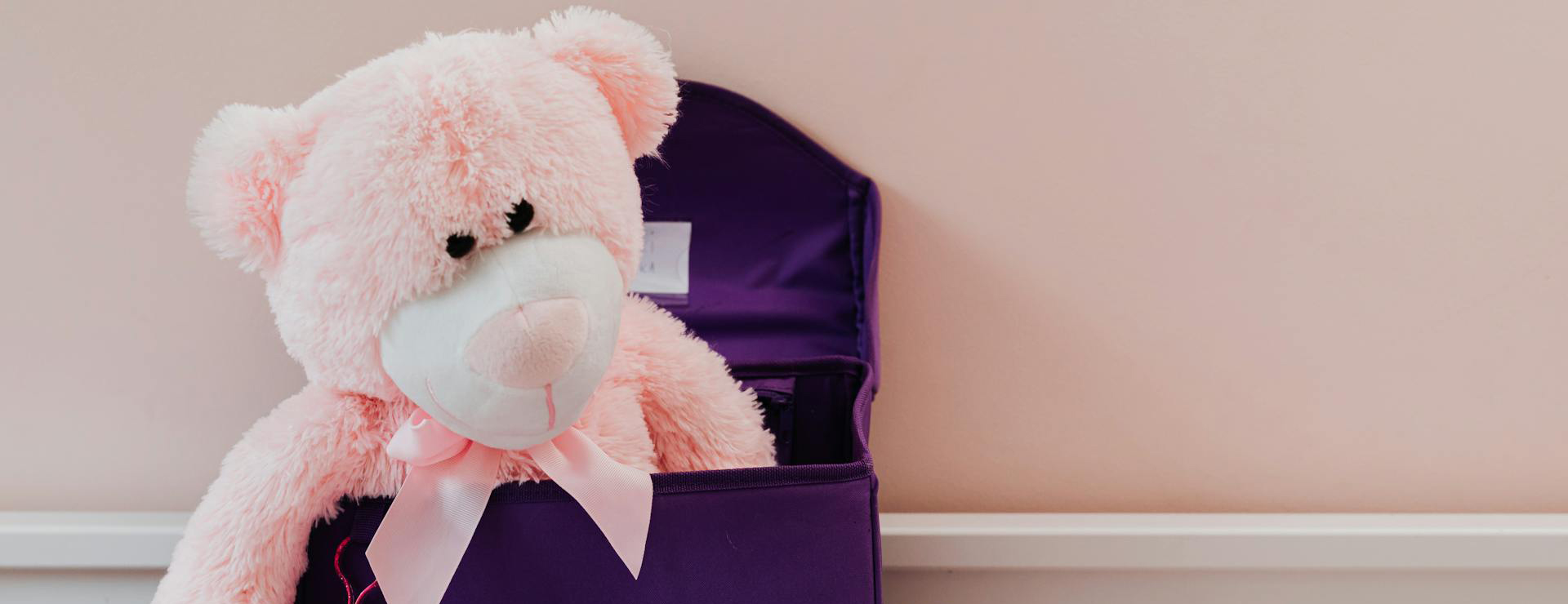 Plush Toys Shop 1 Plush Toys Shop -Plush Toys Shop pexels karolina grabowska 4887256